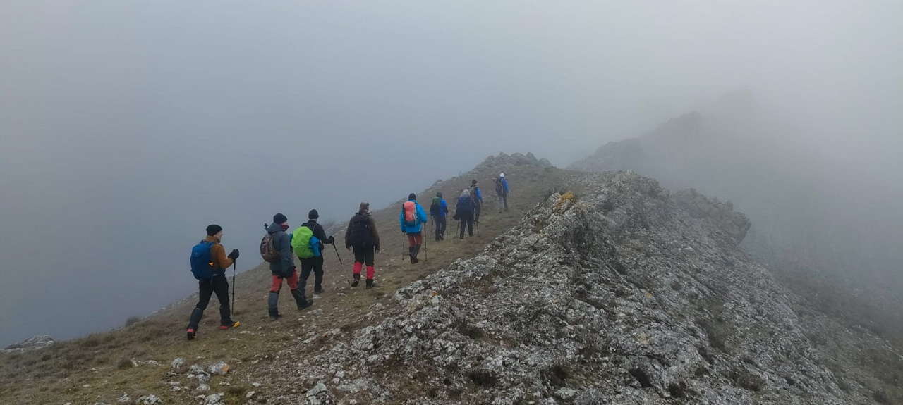 WhatsApp Image 2026-02-10 at 14.47.43 (4)